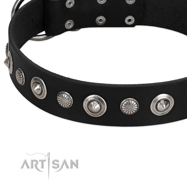 Awesome decorated dog collar of best quality leather
