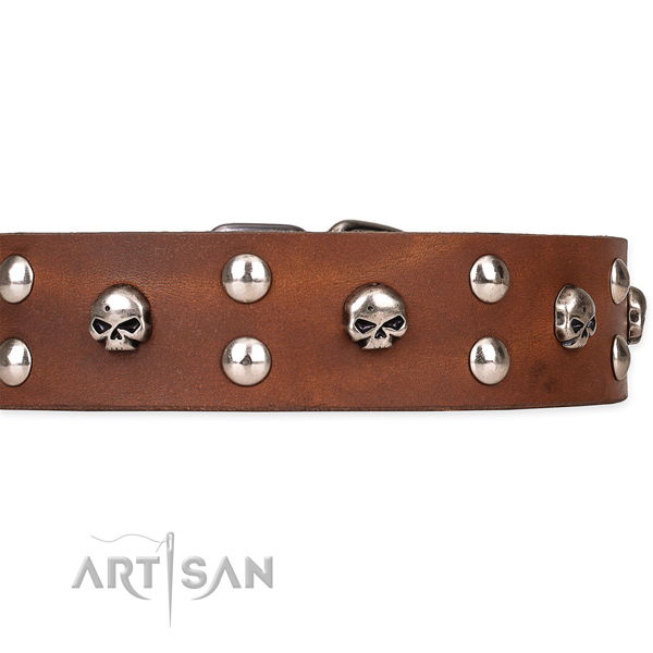 Walking embellished dog collar of top notch full grain genuine leather