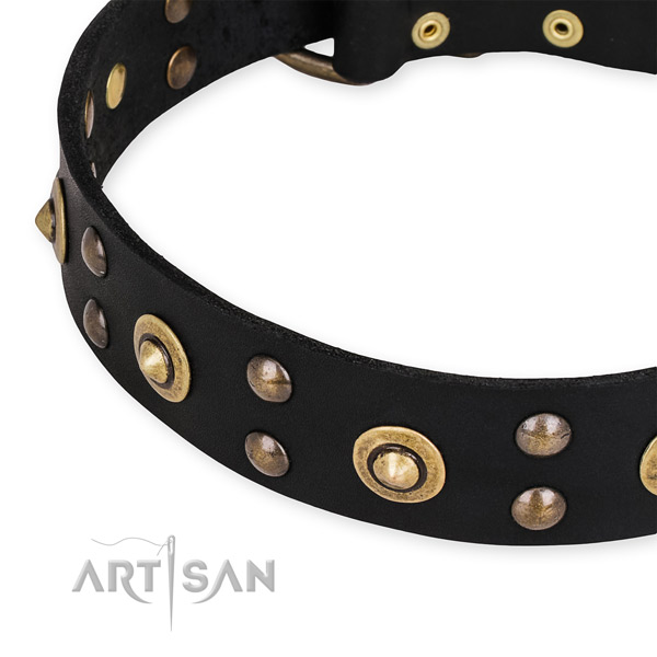Genuine leather collar with rust-proof buckle for your stylish four-legged friend