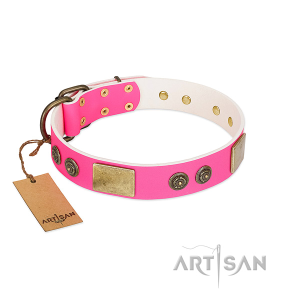 Fashionable full grain genuine leather dog collar for walking