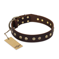 "Bronze Sheen" FDT Artisan Leather Riesenschnauzer Collar with Brass-Plated Studs