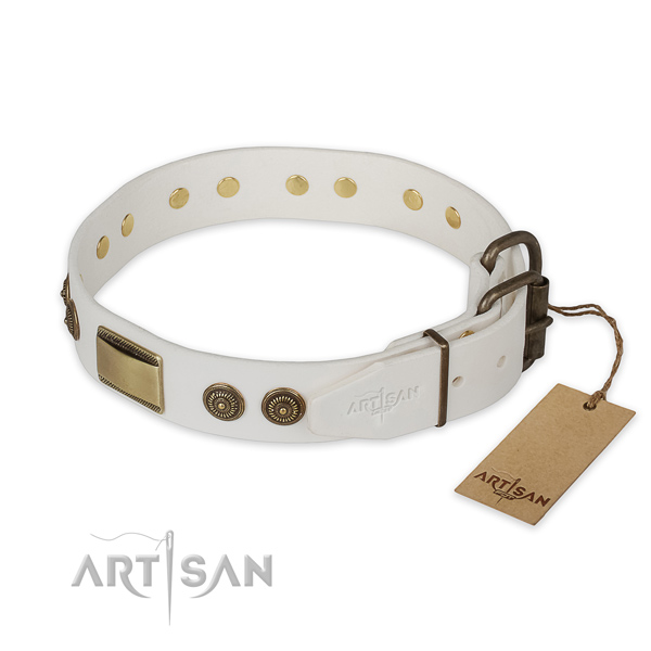 Reliable fittings on natural genuine leather collar for daily walking your four-legged friend