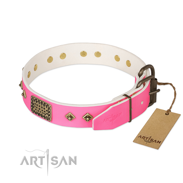Reliable embellishments on comfortable wearing dog collar