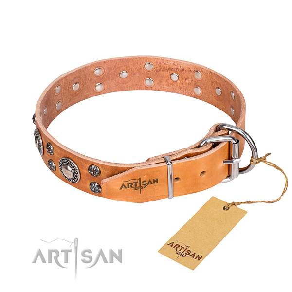 Daily use studded dog collar of best quality leather