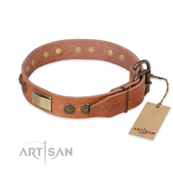 Rust-proof hardware on leather collar for fancy walking your pet