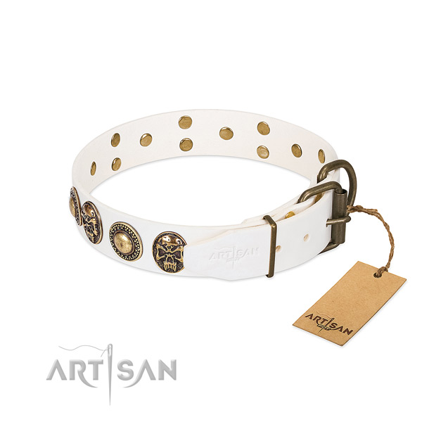 Strong embellishments on stylish walking dog collar