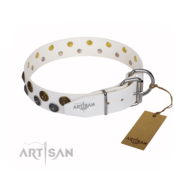 Fancy walking studded dog collar of high quality full grain genuine leather