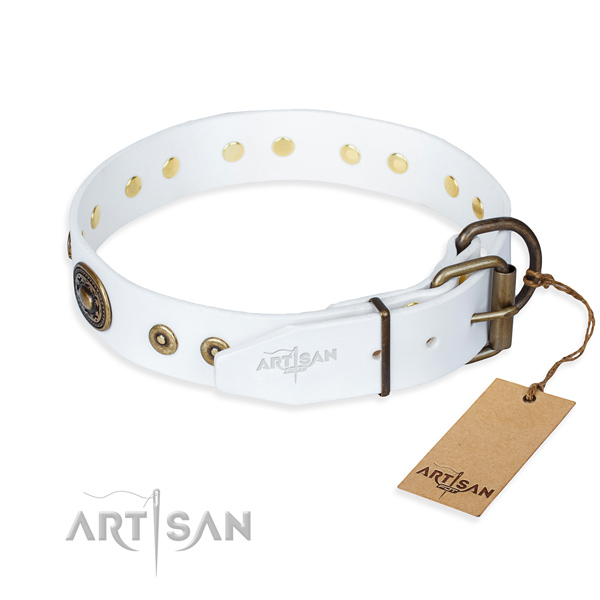 Full grain leather dog collar made of quality material with durable adornments