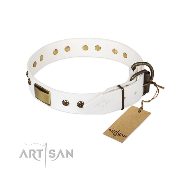 Genuine leather dog collar with reliable buckle and embellishments