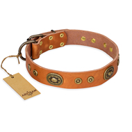 "Dandy Pet" FDT Artisan Handcrafted Tan Leather Riesenschnauzer Collar