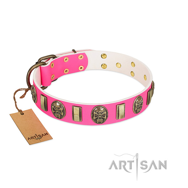 Strong fittings on leather dog collar for your canine