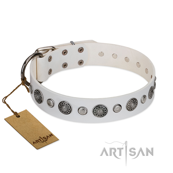 Durable full grain leather dog collar with corrosion proof traditional buckle