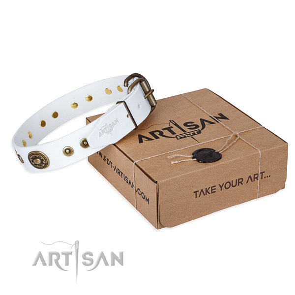 Leather dog collar made of top notch material with corrosion proof buckle
