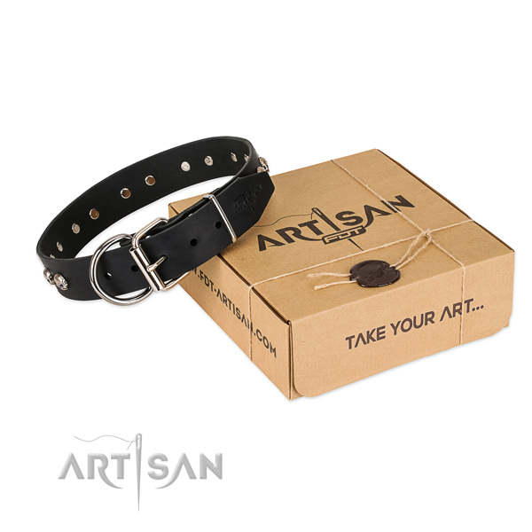 Corrosion resistant hardware on dog collar for comfy wearing