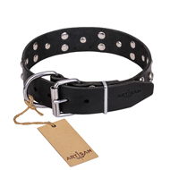 "Mystic Skulls" Decorated Leather Riesenschnauzer Collar with Skulls and Studs