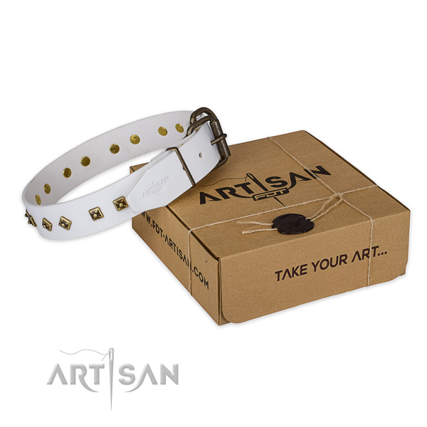 Corrosion proof D-ring on genuine leather dog collar for easy wearing
