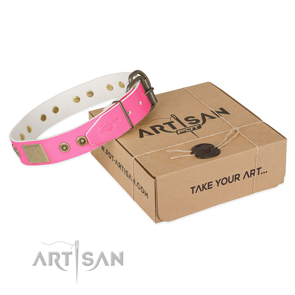 Strong buckle on dog collar for daily use