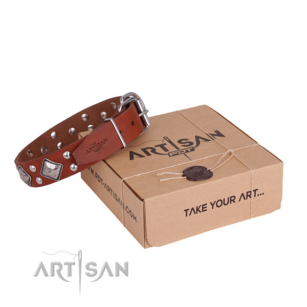 Easy wearing dog collar with Impressive reliable adornments