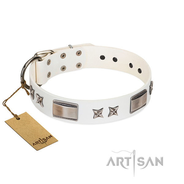 Extraordinary dog collar of genuine leather