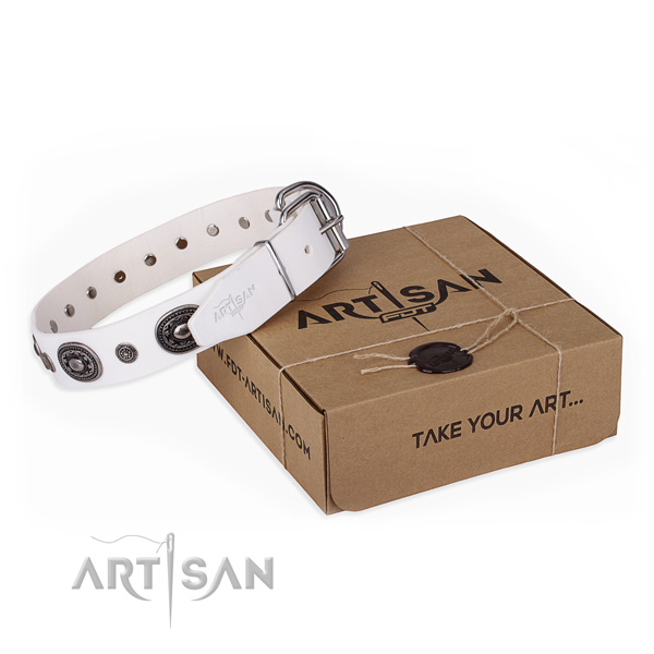 High quality genuine leather dog collar handcrafted for everyday use