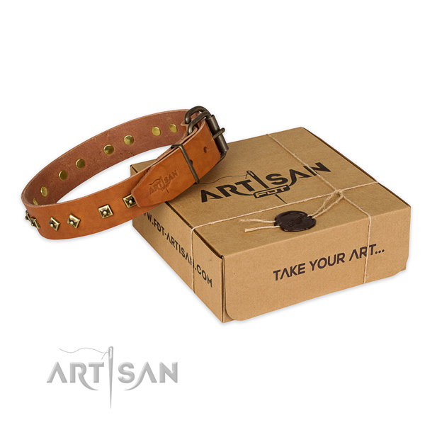 Reliable fittings on full grain natural leather dog collar for stylish walking