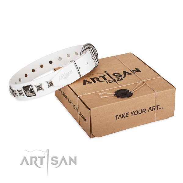 Stylish walking leather dog collar with embellishments