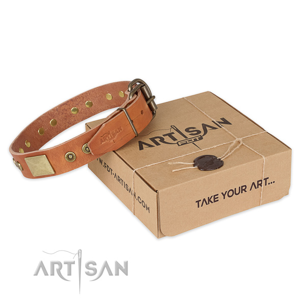 Corrosion resistant hardware on full grain leather dog collar for daily walking