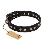 "Black Elegance" FDT Artisan Leather Riesenschnauzer Collar with Round Studs