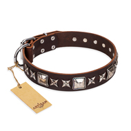 "Perfect Impression" FDT Artisan Brown Leather Riesenschnauzer Collar with Silvery Square Studs