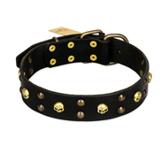"Heavy Metal" Leather Riesenschnauzer Collar with Skulls and Studs 1 1/2 inch (40 mm)
