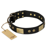"Spanish night" FDT Artisan Fashionable Leather Walking Riesenschnauzer Collar
