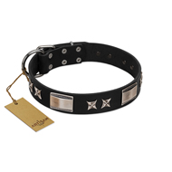 "Pitch Dark" FDT Artisan Black Leather Riesenschnauzer Collar with Stars and Plates