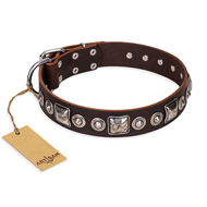"Pierian spring" FDT Artisan Brown Leather Riesenschnauzer Collar with Silvery Decorations
