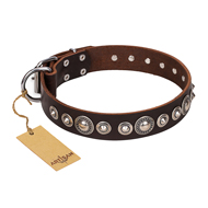 "Step and Sparkle" FDT Artisan Glamorous Studded Brown Leather Riesenschnauzer Collar