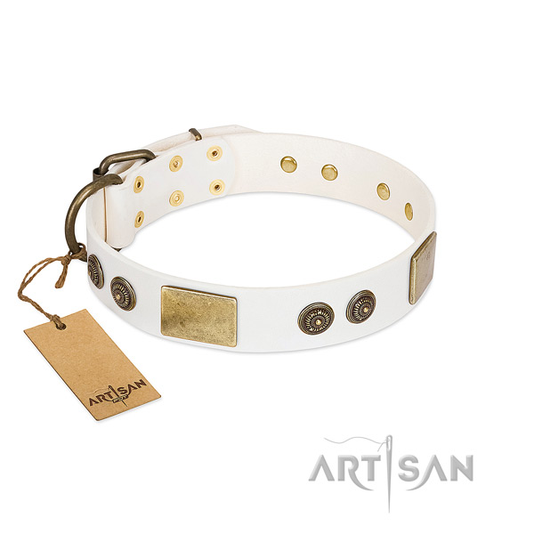 Top quality full grain leather dog collar for comfortable wearing