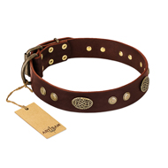 "Old-fashioned Glamor" FDT Artisan Brown Leather Riesenschnauzer Collar with Old Bronze Look Plates and Circles