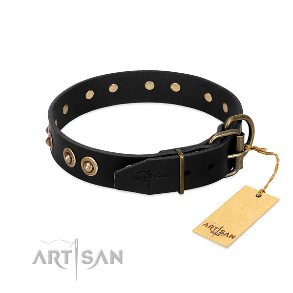 Reliable embellishments on full grain natural leather dog collar for your pet