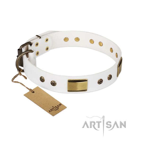 Unusual full grain leather collar for your canine