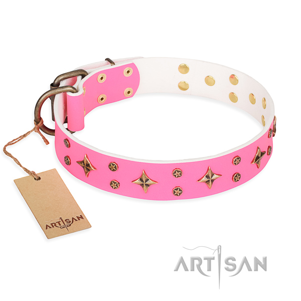 Everyday walking dog collar of durable natural leather with studs