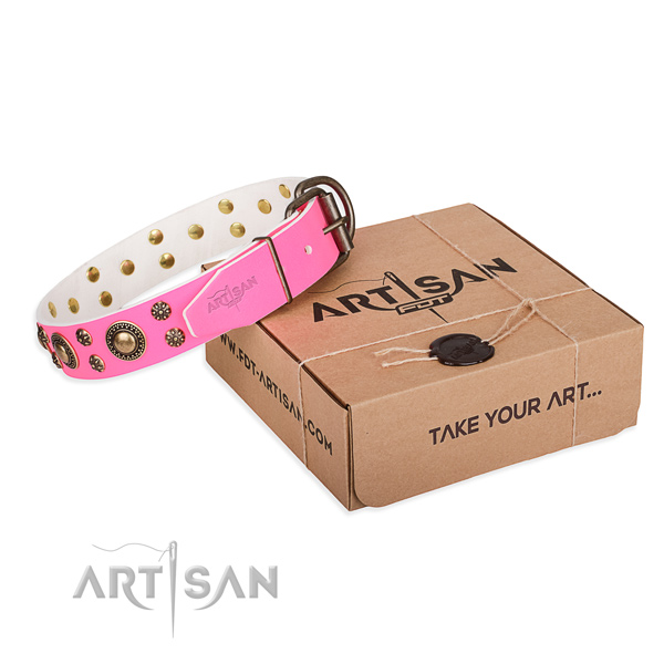 Handy use dog collar of durable full grain genuine leather with embellishments