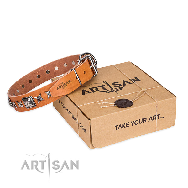 Everyday walking dog collar of top notch full grain leather with embellishments