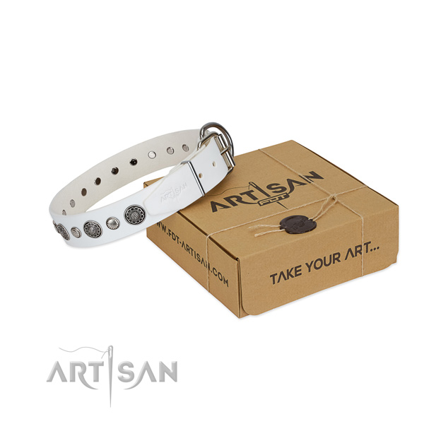 Genuine leather collar with durable hardware for your attractive canine