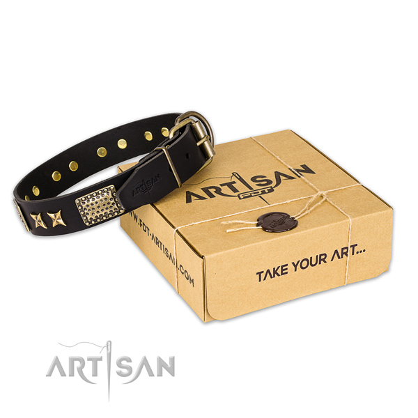 Corrosion proof buckle on natural genuine leather collar for your impressive dog