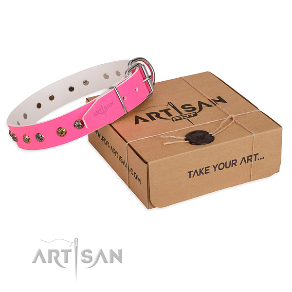Everyday use dog collar with Trendy durable adornments