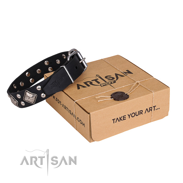 Everyday use dog collar with Trendy durable adornments