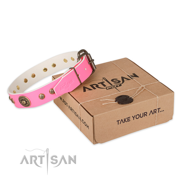 Corrosion resistant fittings on leather dog collar for stylish walking