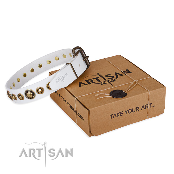 Gentle to touch full grain natural leather dog collar handcrafted for everyday use