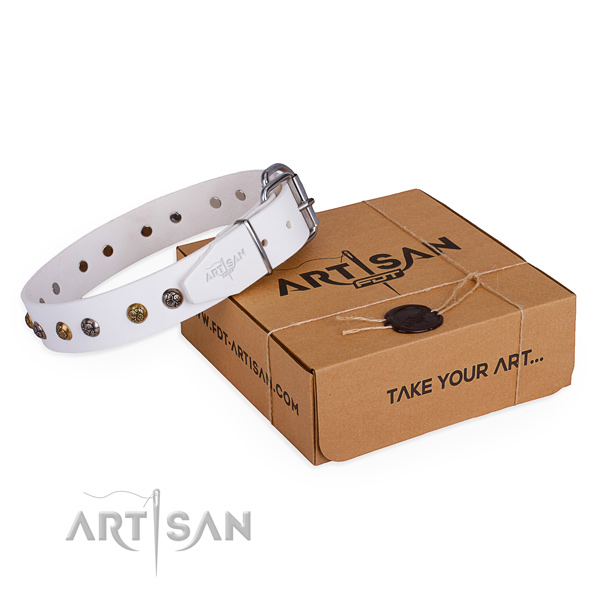 Walking dog collar with Significant rust resistant adornments