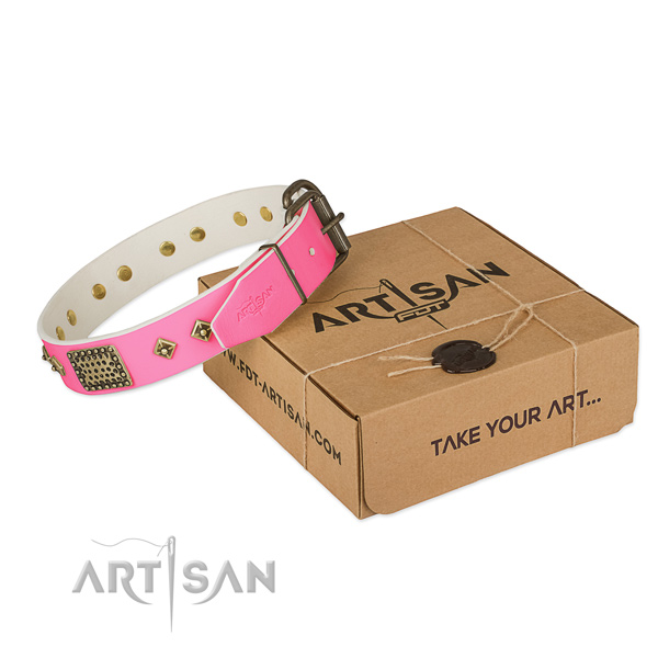 Corrosion resistant fittings on dog collar for basic training