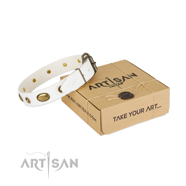 Embellished full grain leather collar for your impressive four-legged friend